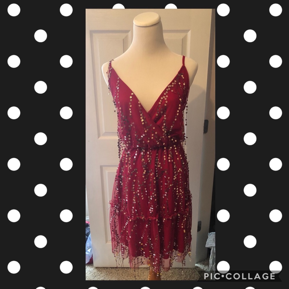 Southern Fried Chicks NWT XXL cocktail dress